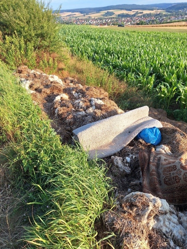 Bild vom Müll an der Röde