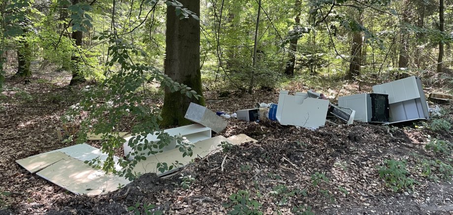 Müllhaufen im Wald
