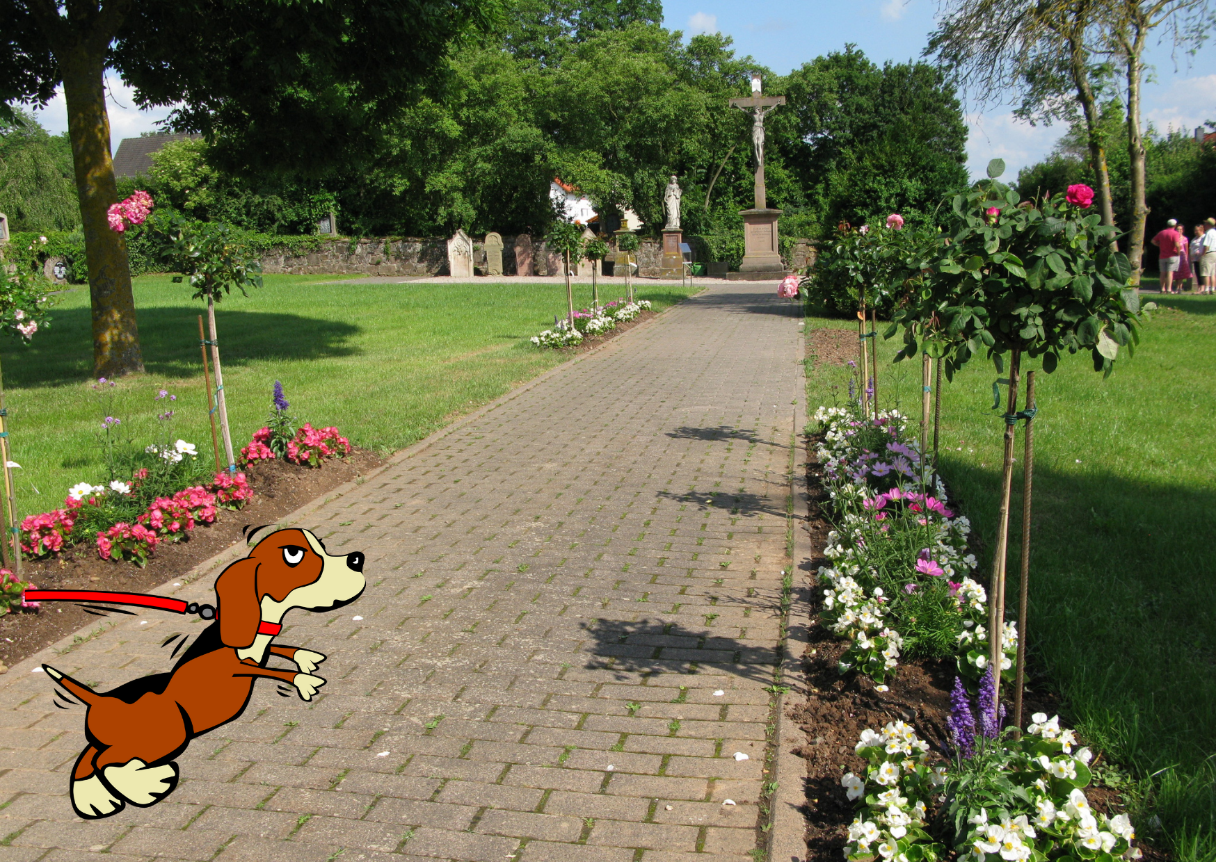 Hund im St.Georg-Park