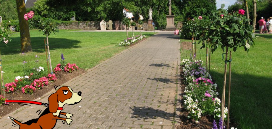 Hundehaltung Hund im St.Georg-Park