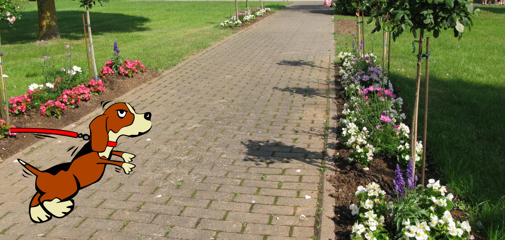 Hund im St.Georg-Park