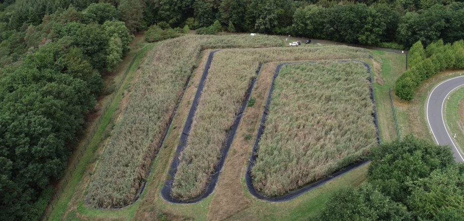 Klärschlammvererdungsanlage Luftaufnahme der Klärschlammvererdungsanlage