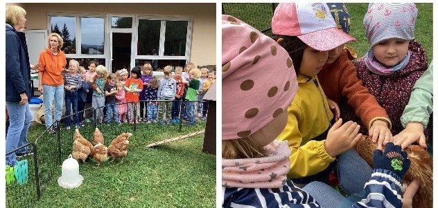 Kita Zwergenland - Projekt Huhnululu Kinder der Kita Zwergenland begrüßen Hühner aus dem Projekt „Huhnululu“