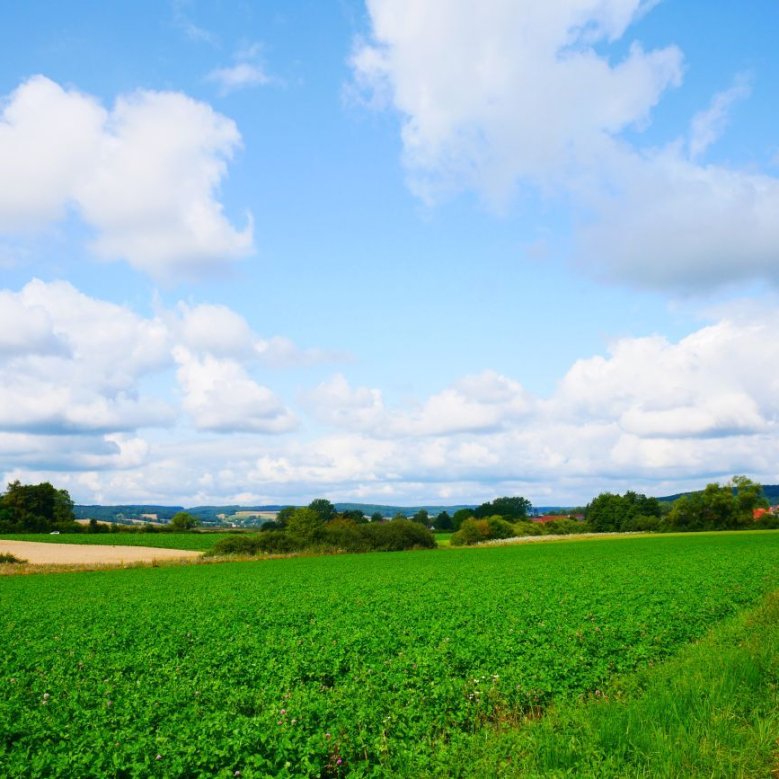 Blick auf Eichenau von Großenlüder kommend