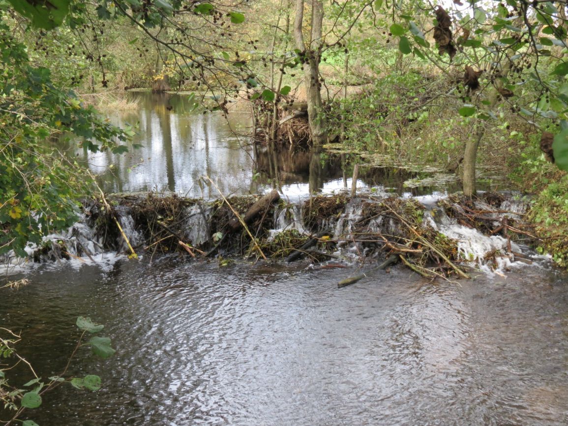 Großenlüder Wanderweg an der Lüder